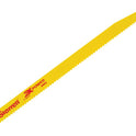 STRBT1265.JPG