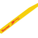 STRBT965.JPG
