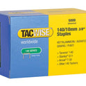 TAC0342.JPG