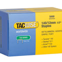 TAC0343.JPG