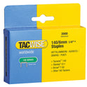 TAC0345.JPG