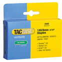 TAC0346.JPG
