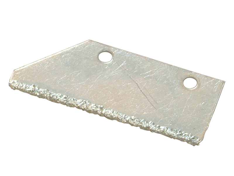 VIT102424.JPG
