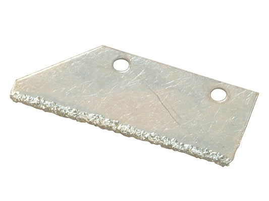 VIT102424.JPG